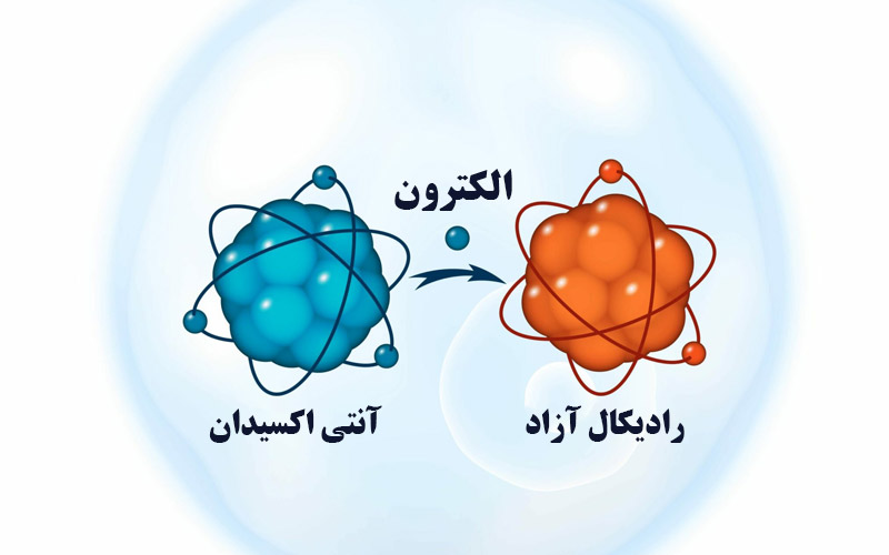 تعریف رادیکال‌های آزاد و تاثیر آن بر پوست