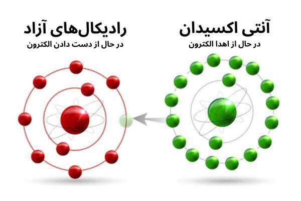 های آزاد